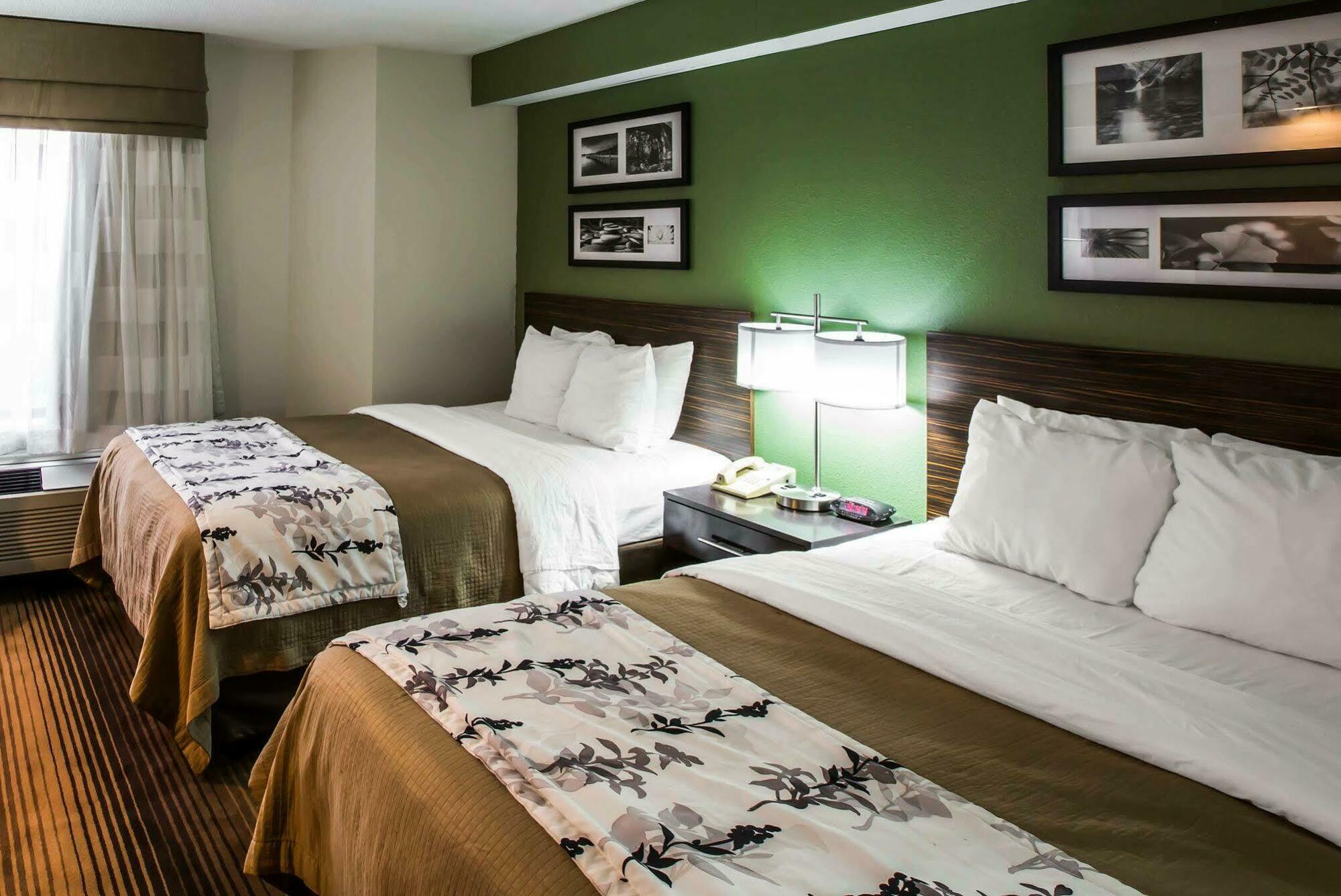 Sleep Inn & Suites Kingsport Tricities Airport Exterior foto